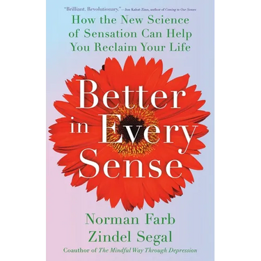 Better in Every Sense: How the New Science of Sensation Can Help You Reclaim Your Life