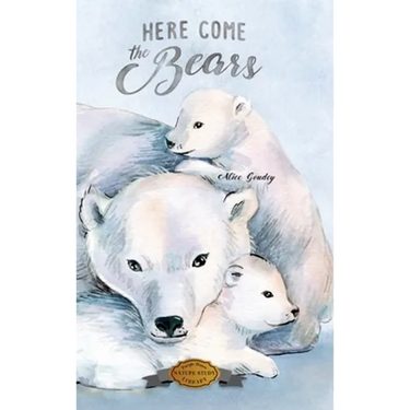 Here Come the Bears