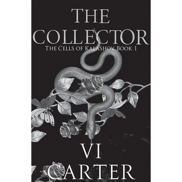 The Collector: Dark Bratva Romance