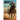 Rider of the Dim Trails
