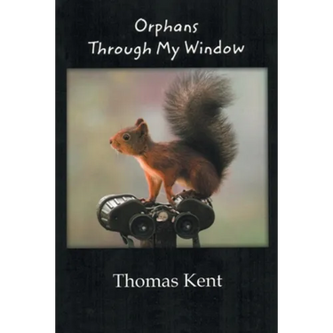 Orphans through My Window