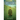 Truesight