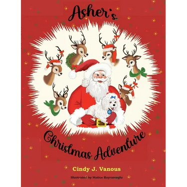 Asher's Christmas Adventure