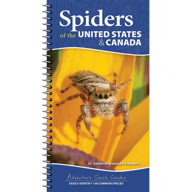 Spiders of the United States & Canada: Easily Identify 158 Common Species