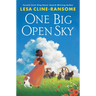 One Big Open Sky