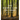The Hidden Life of Trees: The Illustrated Edition