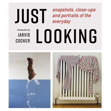 Just Looking: Snapshots, Close-Ups and Portraits of the Everyday