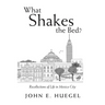 What Shakes the Bed?: Recollections of Life in Mexico City