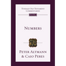 Numbers: An Introduction and Commentary Volume 4