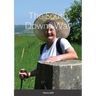 The South Downs Way