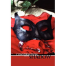 Conversation with a Shadow