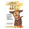 Drawn Free: A watercolor tribute to dogs that have found a new life