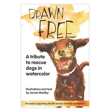 Drawn Free: A watercolor tribute to dogs that have found a new life