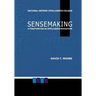 Sensemaking: A Structure for an Intelligence Revolution