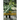 The Disappeared