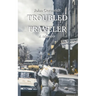 Troubled Traveler: A Young Man's Odyssey Through Mexico, a Memoir