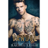 Vandal: A Dark Bully Romance