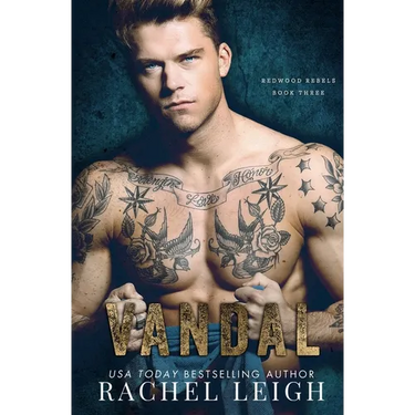 Vandal: A Dark Bully Romance