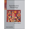 Introductory Phonology