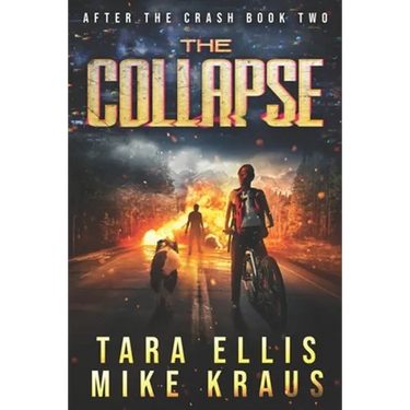 The Collapse: After the Crash Book 2