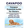 Cavapoo. Cavapoo Essential Guide for Owners. Cavapoo book for training, care, costs, grooming and health.