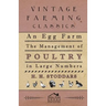 An Egg Farm - The Management Of Poultry In Large Numbers
