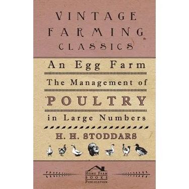An Egg Farm - The Management Of Poultry In Large Numbers