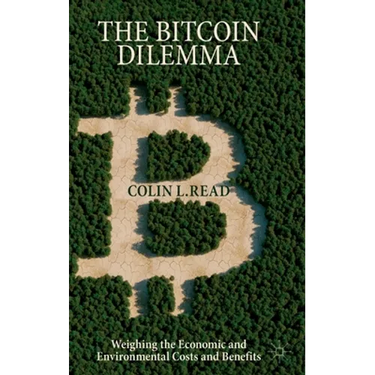 The Bitcoin Dilemma: Weighing the Economic and Environmental Costs and Benefits