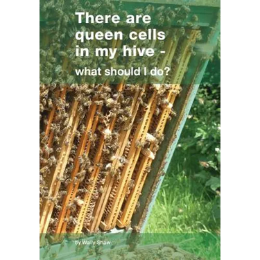 There are queen cells in my hive: - what should I do?