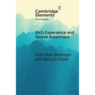 Rich Experience and Sparse Awareness: Sensing More Than We Know