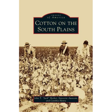 Cotton on the South Plains
