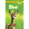Deer: Animals in the City (Engaging Readers, Level Pre-1)