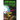 Soldiers! Volume 2: A Chronicle from the 31st Century