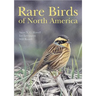 Rare Birds of North America