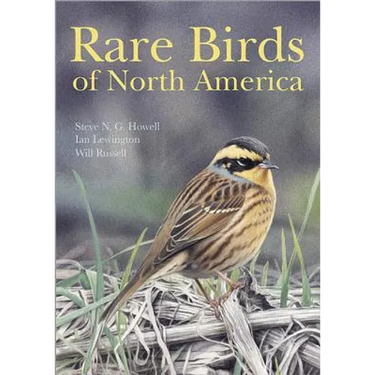 Rare Birds of North America