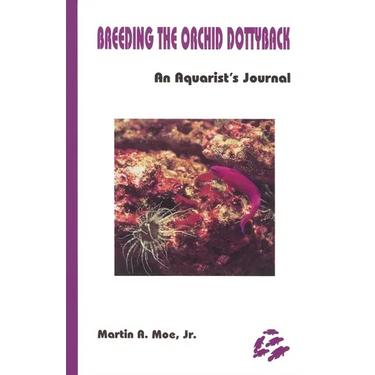 Breeding the Orchid Dottyback, Pseudochromis Fridmani: An Aquarist's Journal