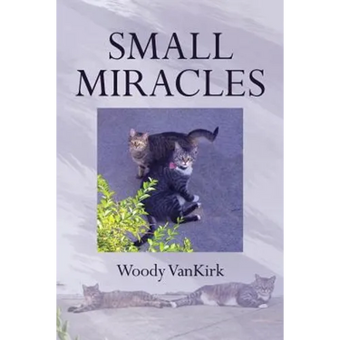 Small Miracles
