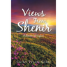 Views From Shenir (Mount of Light)