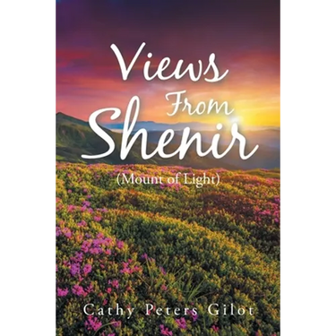 Views From Shenir (Mount of Light)