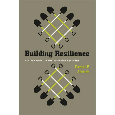 Building Resilience: Social Capital in Post-Disaster Recovery