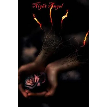 Night Angel: Book One in the Angel's Trilogy