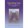 Uprooting Fear: The Heart's Accidental Journey to the Divine