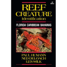 Reef Creature Identification: Florida Caribbean Bahamas