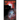 The Neighbor