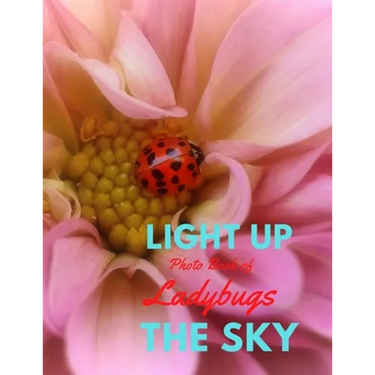 Light Up the Sky Photo Book of Ladybugs: Picture Book of Full Color Photography of Ladybugs and Flowers