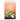 The Alice B. Toklas Cook Book