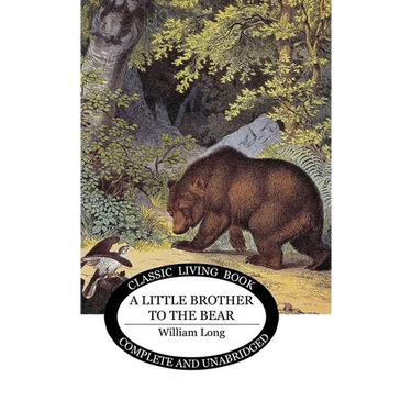 Little Brother to the Bear