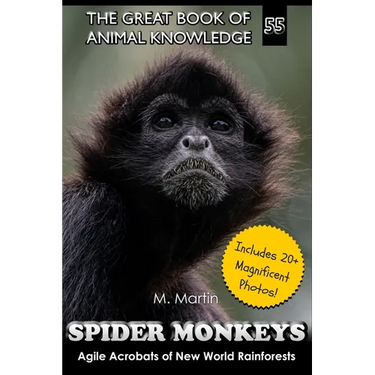 Spider Monkeys: Agile Acrobats of New World Rainforests