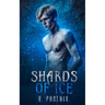 Shards of Ice: An M/M Retelling of 'The Snow Queen'