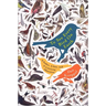 To See Every Bird on Earth: A Father, a Son, and a Lifelong Obsession